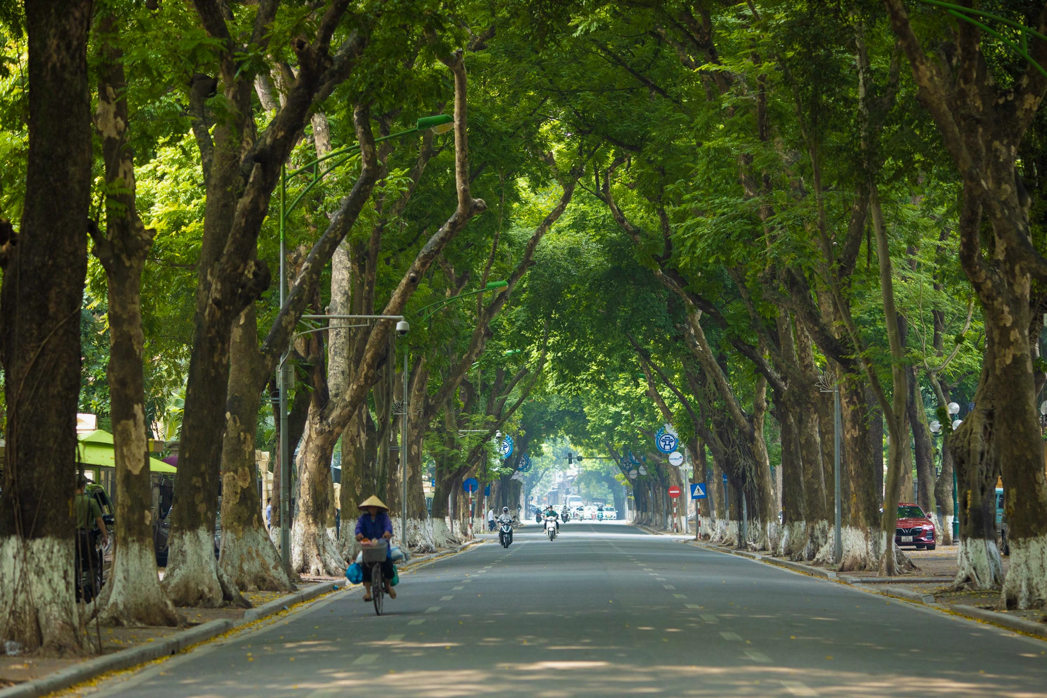 Climat et Météo au Vietnam